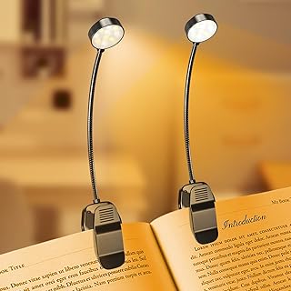 USB LED Light reading lamp with 2 LED lights