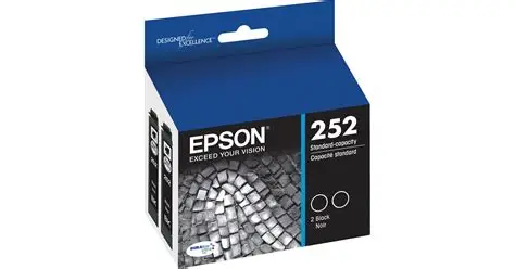 Cartridge Epson 252 Black